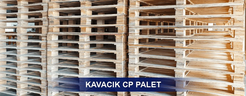 Kavacık Standart Tipler