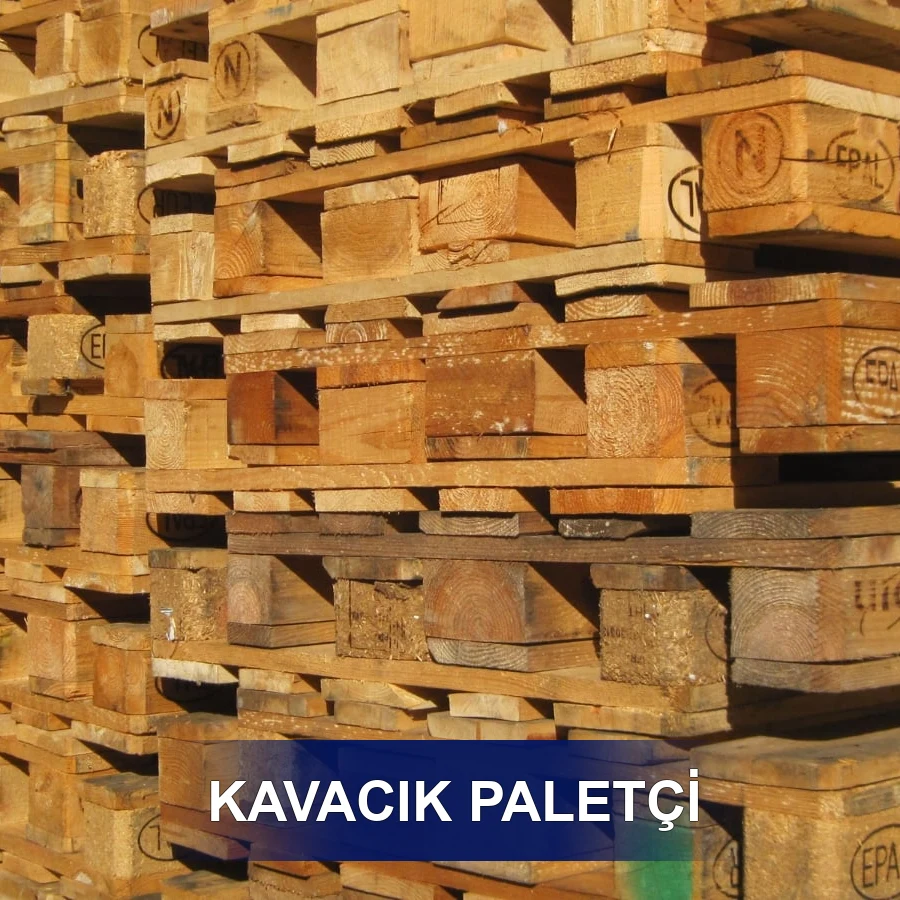 Kavacık Paletçi