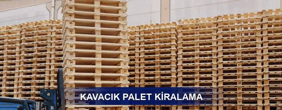 Kavacık Uzun Dönem